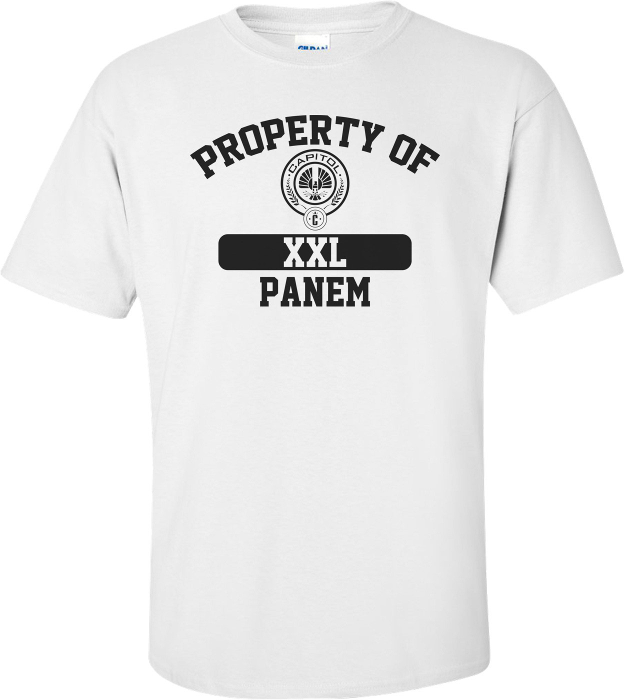 Property Of Panem Hunger Games