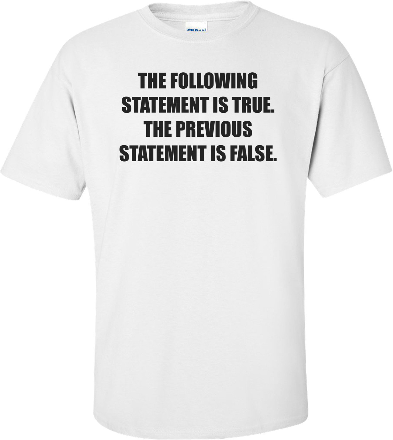 THE FOLLOWING STATEMENT IS TRUE. THE PREVIOUS STATEMENT IS FALSE.