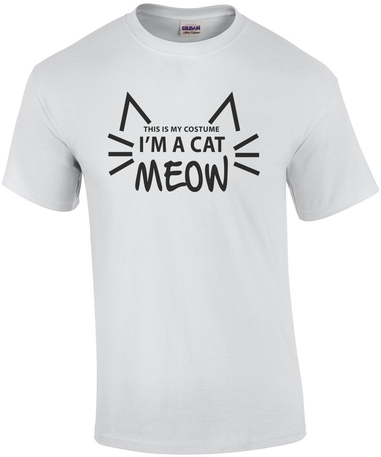 This is my costume - I'm a cat Meow -