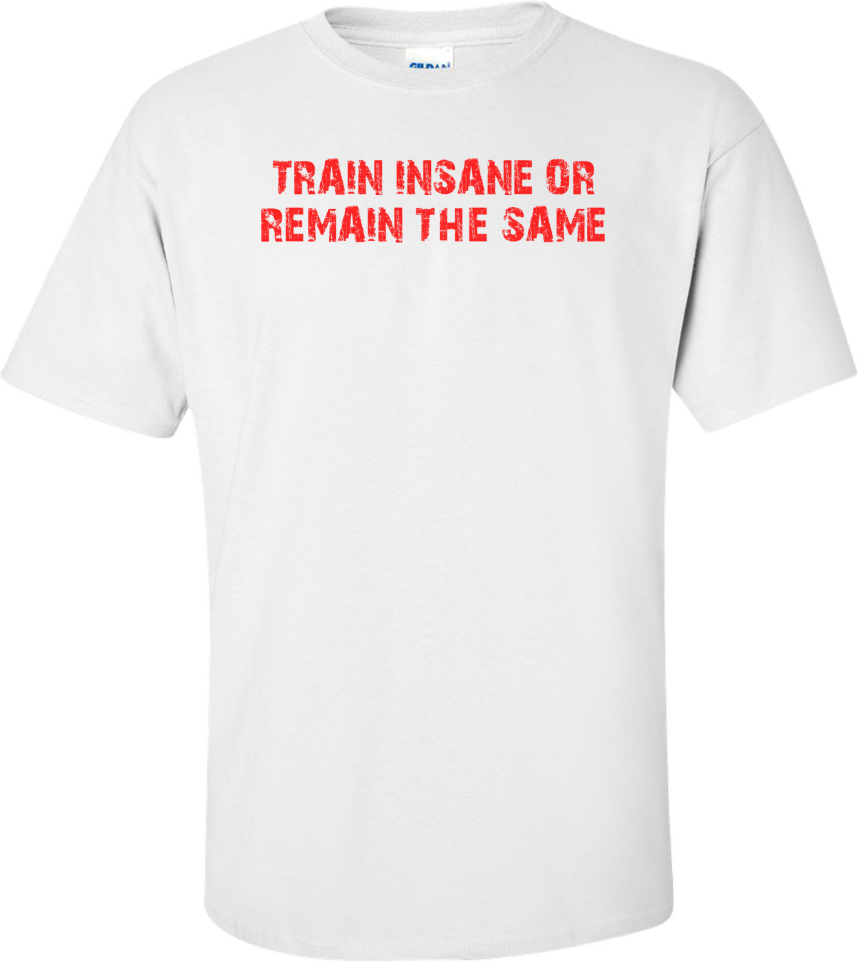 TRAIN INSANE OR REMAIN THE SAME