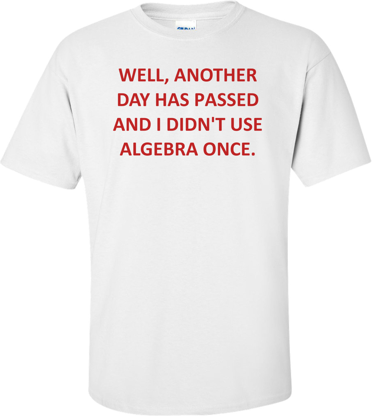 WELL, ANOTHER DAY HAS PASSED AND I DIDN'T USE ALGEBRA ONCE.