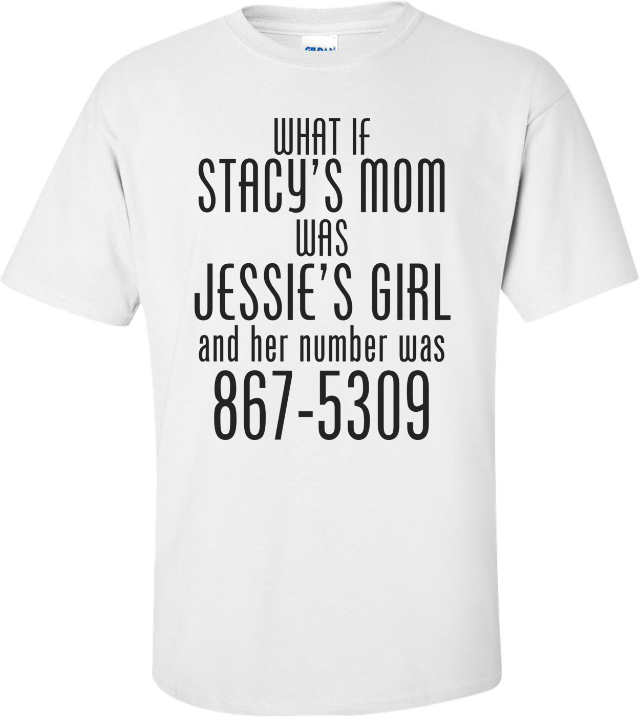 What If Stacy's Mom Was Jessie's Girl Funny