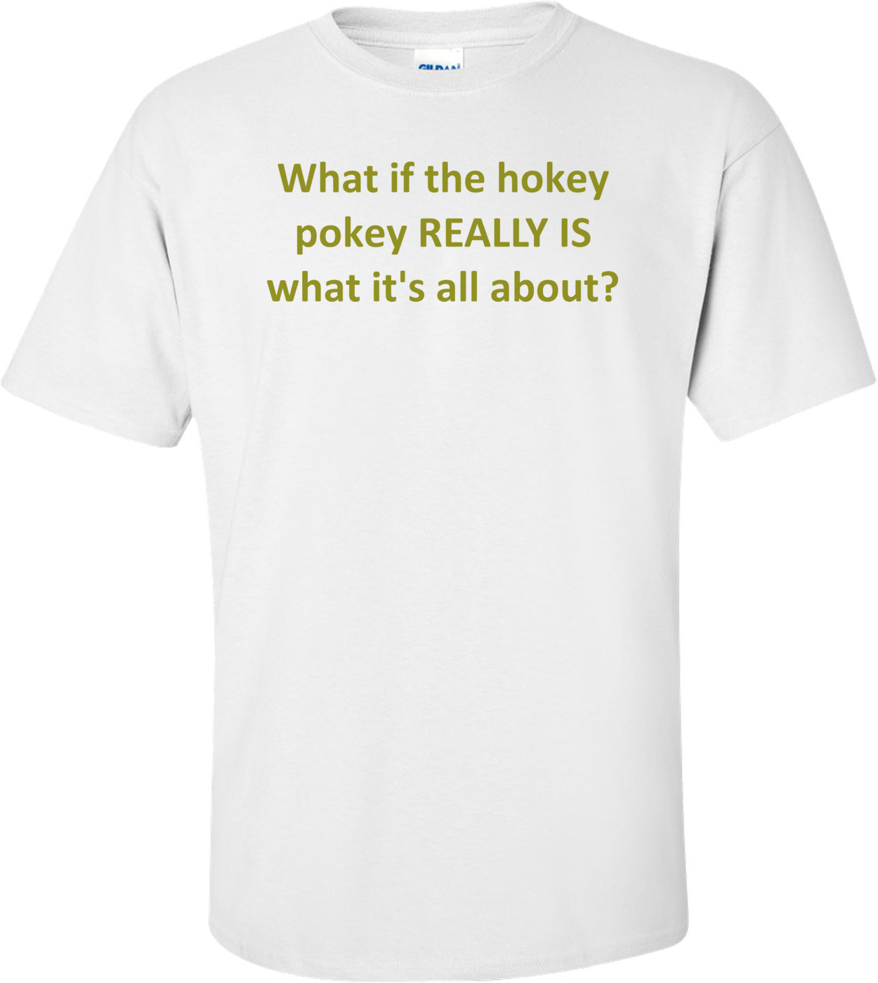 What if the hokey pokey REALLY IS what it's all about?