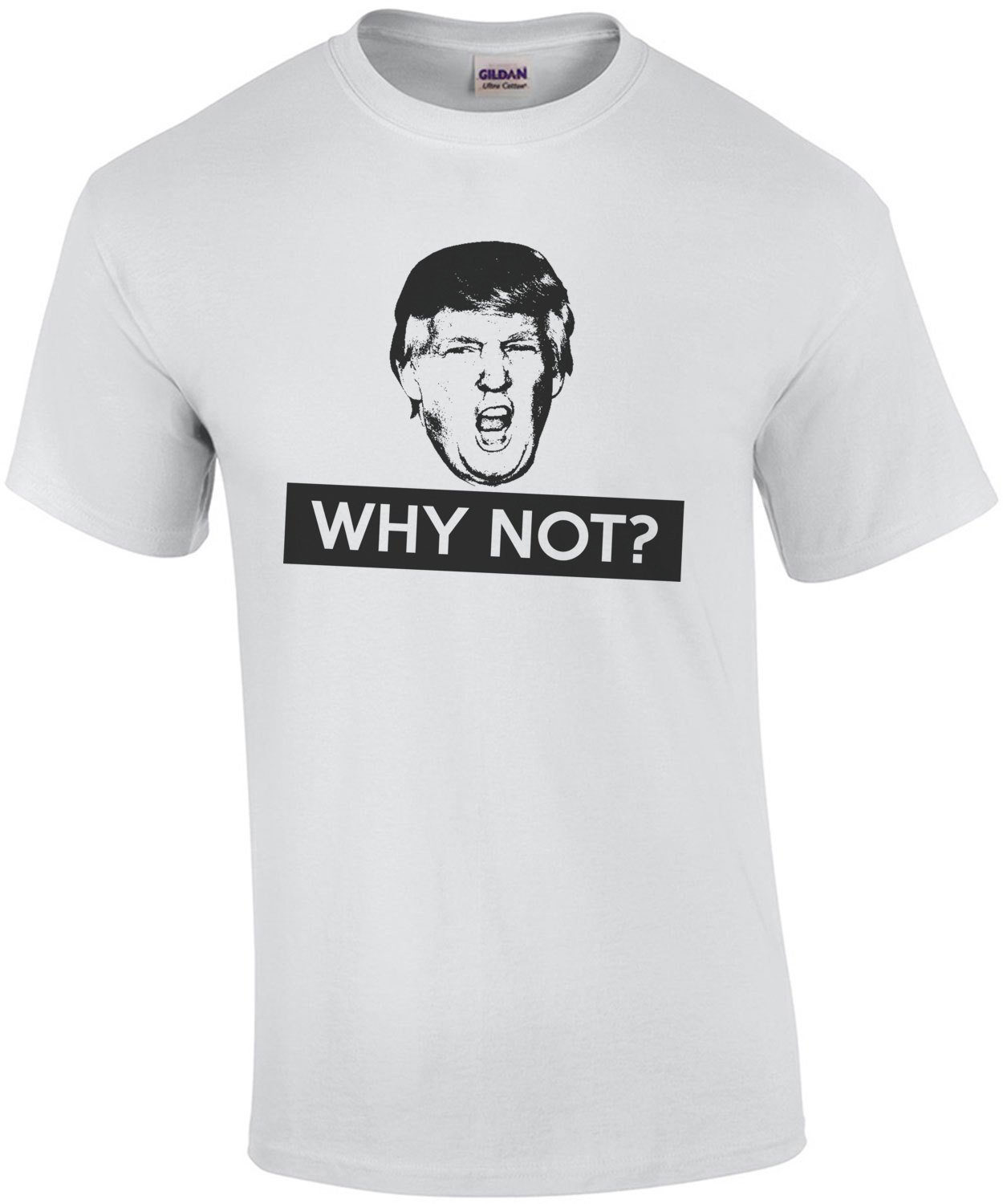 Why Not? Donald Trump