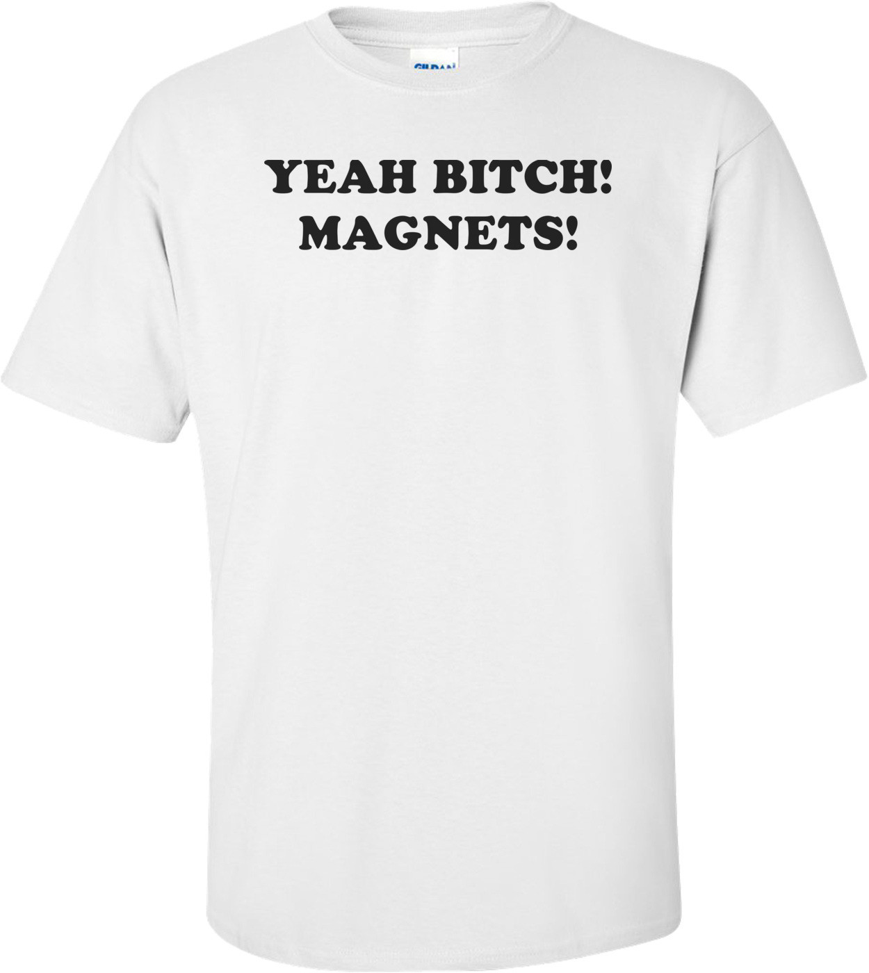 YEAH BITCH! MAGNETS!