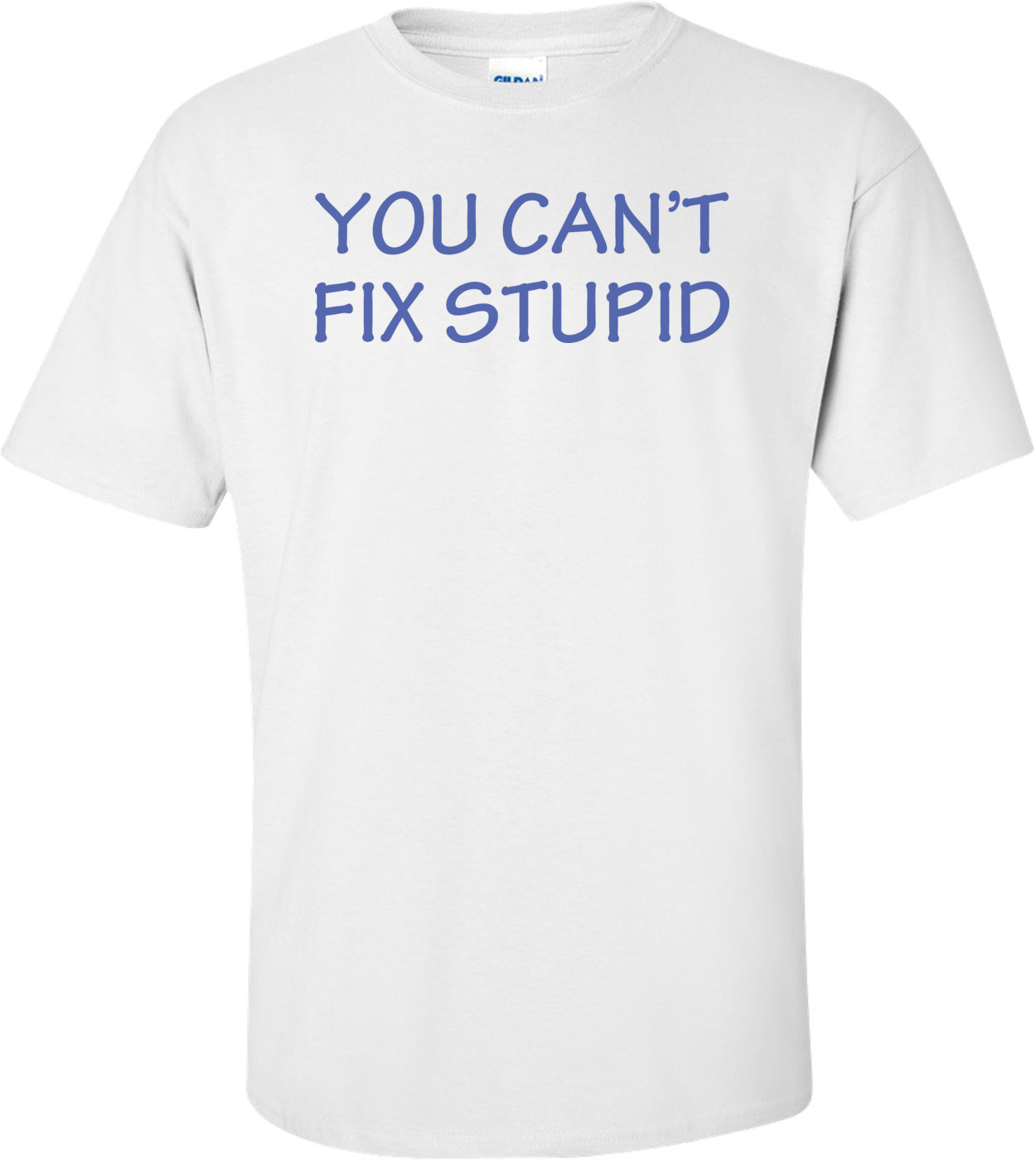 You Can't Fix Stupid 