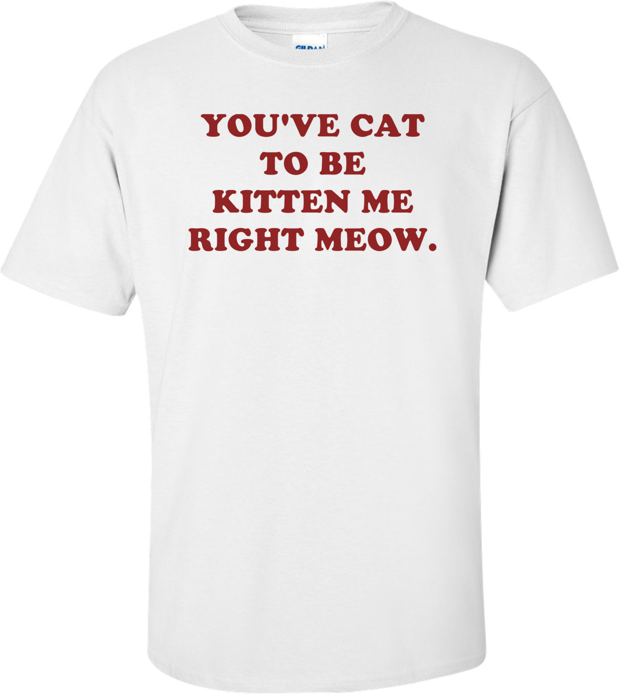 YOU'VE CAT TO BE KITTEN ME RIGHT MEOW.