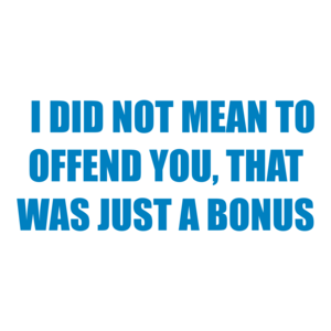   I DID NOT MEAN TO OFFEND YOU, THAT WAS JUST A BONUS