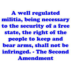 A well regulated militia, being necessary to the security of a free state, the right of the people to keep and bear arms, shall not be infringed. - The Second Amendment