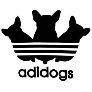 Adidogs - Funny Adidas Parody