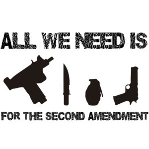 All we need is Uzi's Knives Grenades Guns For The Second Amendment - Pro Gun