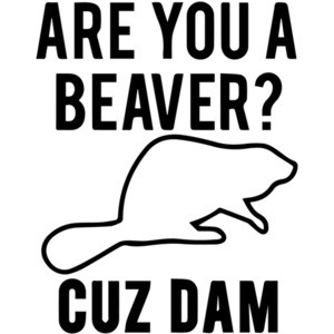 Are you a beaver? Cuz Dam
