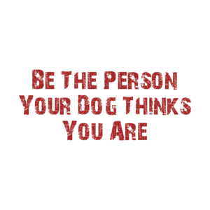 Be The Person Your Dog Thinks You Are