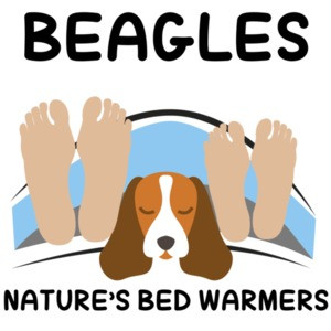 Beagles - Nature's Bed Warmers - Beagle