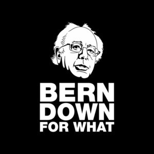Bern Down For What Bernie Sanders