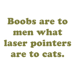 Boobs are to men what laser pointers are to cats.
