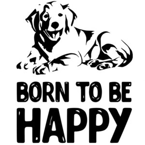 Born to be happy - Golden Retriever