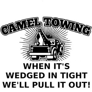 Camel Towing - When it's wedged in tight we'll pull you out!