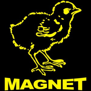 Chick Magnet