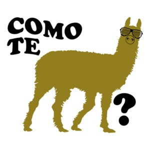 Como Te Llama?