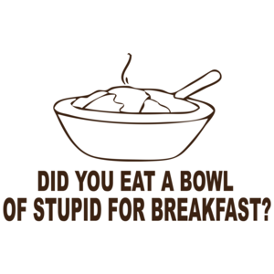 Did You Eat A Bowl Of Stupid For Breakfast Funny