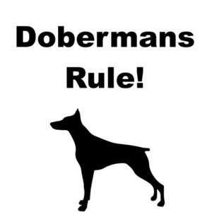 Dobermans Rule! - Doberman Pinscher