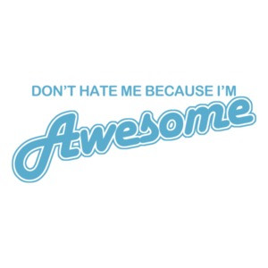Don't Hate Me Because I'm Awesome 