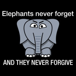 Elephants never forget and they never forgive