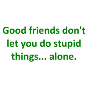 Good friends don't let you do stupid things... alone.