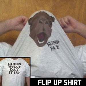 Guess What Day It Is Flip Up