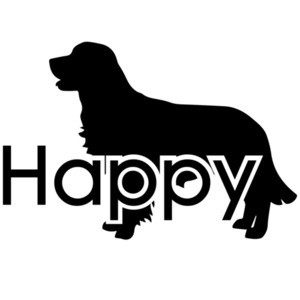 Happy Golden Retriever