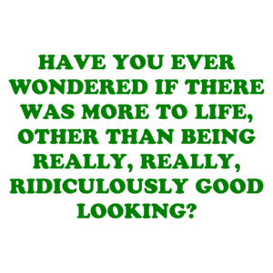 HAVE YOU EVER WONDERED IF THERE WAS MORE TO LIFE, OTHER THAN BEING REALLY, REALLY, RIDICULOUSLY GOOD LOOKING?