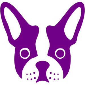 Head of a frenchie - Frenchie / French Bulldog