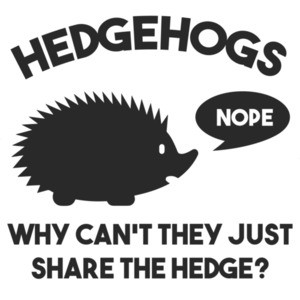 Hedgehogs - why can't they just share the hedge?