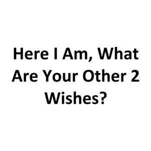 Here I Am, What Are Your Other 2 Wishes?