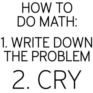 How to do math: 1. write down the problem 2. cry - math