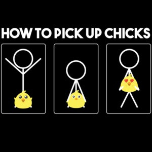 How to pick up chicks - funny