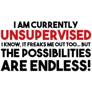 I AM CURRENTLY UNSUPERVISED. I KNOW, IT FREAKS ME OUT TOO. BUT THE POSSIBILITIES ARE ENDLESS!