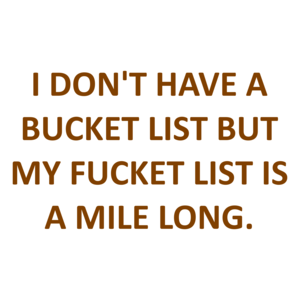 I DON'T HAVE A BUCKET LIST BUT MY FUCKET LIST IS A MILE LONG.