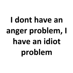 I dont have an anger problem, I have an idiot problem