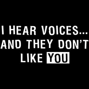 I Hear Voices And They Don't Like You