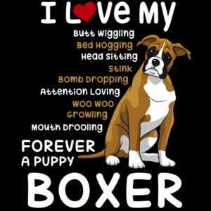 I love my boxer - boxer