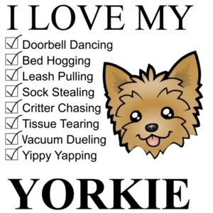 I love my yorkie - yorkie