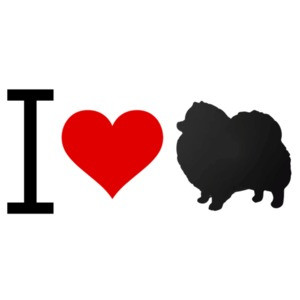 I love Pomeranian - Pomeranian