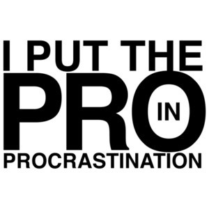 I Put The Pro In Procrastination