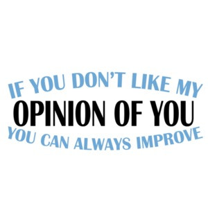 If you don't like my opinion of you. You can always improve.