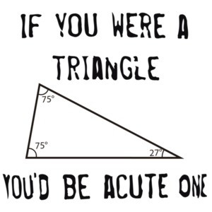 If you were a triangle you'd be acute one. Funny