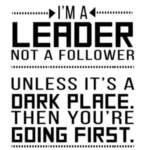 I'm a leader not a follower. Unless it's a dark place.