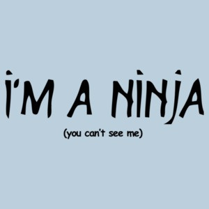 I'm A Ninja You Can't See Me 