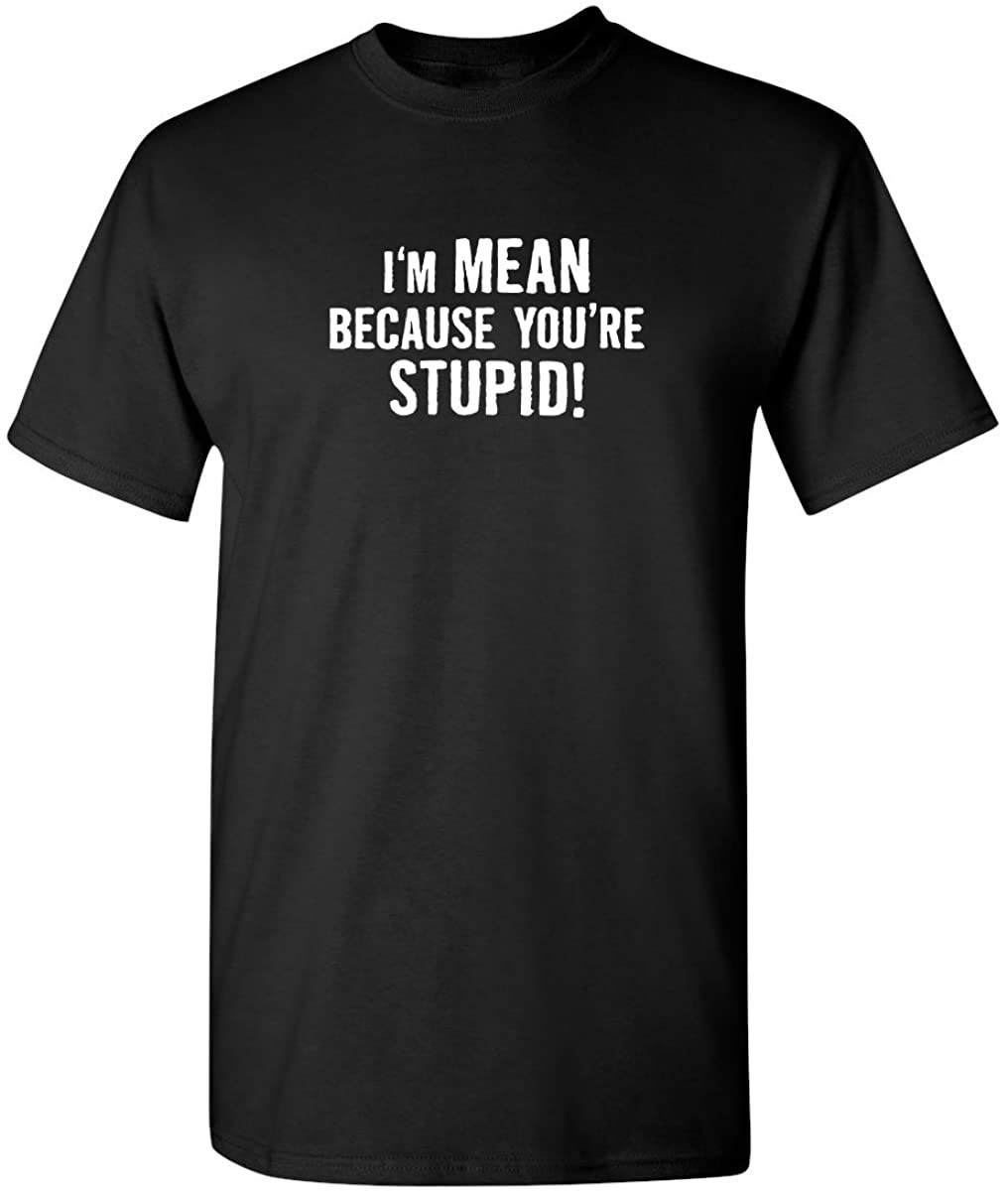 I'm Mean Because You're Stupid Offensive Rude T-Shirt